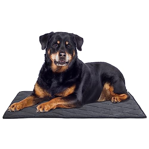 MABOZOO Strapazierfähiges, kaufestes Hundebett, robust, unzerstörbar, Matte für Aggressive Kauer, waschbares Haustierbett für mittelgroße Hunde, schwarz, 55.9x88.9 cm von MABOZOO