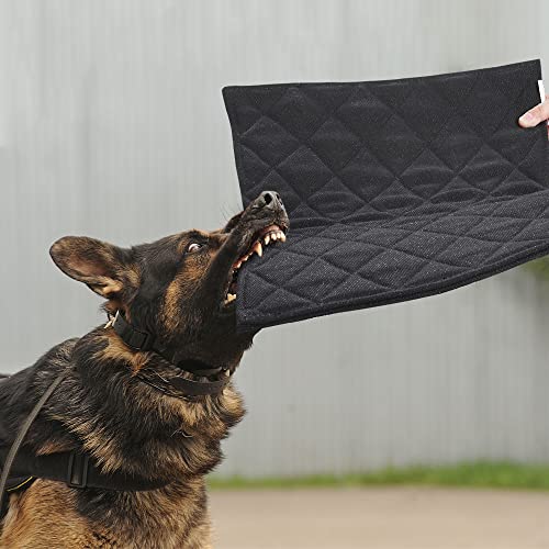 MABOZOO Unzerstörbares Hundebett, kaufeste Kistenunterlage für aggressive Kauer, maschinenwaschbar, gesteppte Matte, langlebig für kleine und mittelgroße Hunde, schwarze Hundehütte (45,7 x 73,7 cm) von MABOZOO