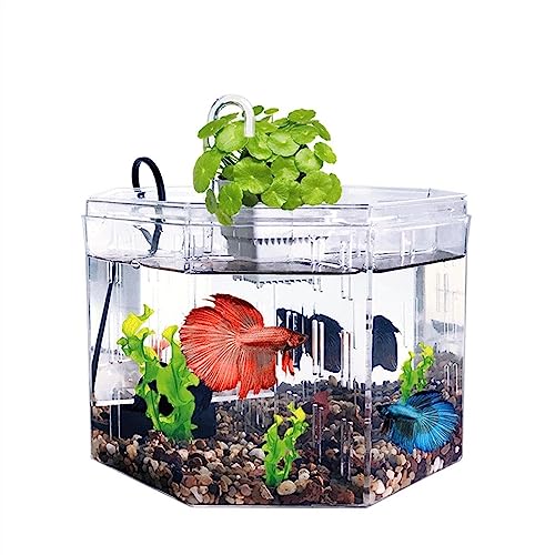 Transparenter Blasenblumentopf Kleine Aquarium-Isolationsbox, Zucht, spezielles transparentes Acryl-Aquarium mit Pumpenfiltration, Zierfisch-Tank-Desktop-Ornamente Containerfischtank von MACIUM
