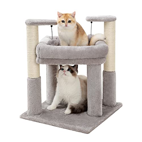Made4Pets Katzenkratzbaum, Katzenkratzbaum für drinnen kleine Kätzchen, Kitty Tower Top Bett Sitzstange zum Ausruhen und Spielen, Sisalseile Stange Nagelfeile von MADE 4 PETS