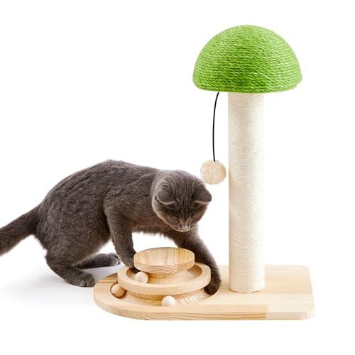 Made4Pets Katzenkratzbaum, Pilz-Kratzbaum mit Sisalseilen, interaktives Bahnballspielzeug für kleine Kätzchen, 2-in-1 Holzkratzspielzeug mit baumelndem Plüschball, 50,8 cm, Grün von MADE 4 PETS