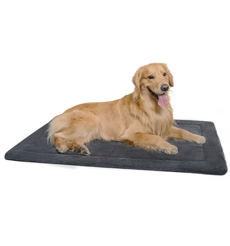 Made4Pets Wendbare Hundebett-Matte, Schaumstoff-Hundematte für Käfige, maschinenwaschbar, Hundekäfigunterlage für drinnen und draußen, feste Unterstützung für kleine, mittelgroße und große Hunde, Made4Pets Wendbare Hundebett-Matte, Schaumstoff-Hundematte für Käfige, maschinenwaschbar, Hundekäfigunterlage für drinnen und draußen, feste Unterstützung für kleine, mittelgroße und große Hunde, von MADE 4 PETS