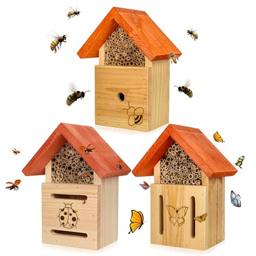 MADERY Bienenhotel für Kinder & Familien – Insektenhotel aus Massivholz mit Schilfröhrchen – wetterfest & aus EU-Produktion – ideal für Garten, Balkon & Naturprojekte MADERY Bienenhotel für Kinder & Familien – Insektenhotel aus Massivholz mit Schilfröhrchen – wetterfest & aus EU-Produktion – ideal für Garten, Balkon & Naturprojekte von MADERY