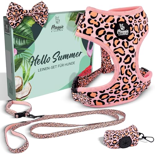 MAGGIE & COOPER Leinen-Set für Hunde – Design Leo – 5-teilig: Halsband, Geschirr, Leine, Schleife, Kotbeutelspender – 4 Größen – Geschenkverpackung (L) von MAGGIE & COOPER
