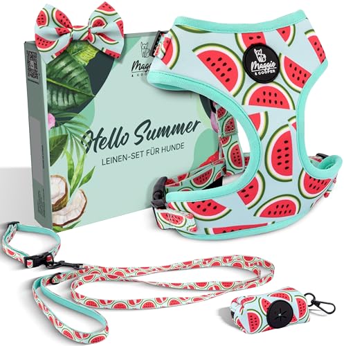 MAGGIE & COOPER Leinen-Set für Hunde – Design Melone – 5-teilig: Halsband, Geschirr, Leine, Schleife, Kotbeutelspender – 4 Größen – Geschenkverpackung (M) von MAGGIE & COOPER