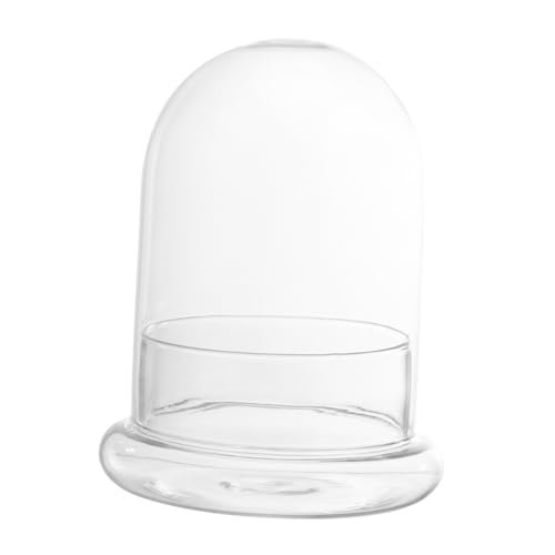 MAGICLULU 1 Stück Moos-Öko-Flasche Pflanzen Terrarium klein groß Vase wasserflasche Desktop-Flasche Mini-Landschaftsflasche Mikrolandschaftsflasche Glas Transparent MAGICLULU 1 Stück Moos-Öko-Flasche Pflanzen Terrarium klein groß Vase wasserflasche Desktop-Flasche Mini-Landschaftsflasche Mikrolandschaftsflasche Glas Transparent von MAGICLULU