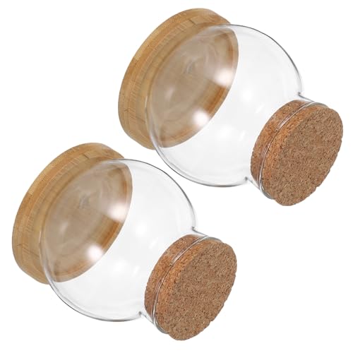 MAGICLULU 2 Satz Transparentes Pflanzenterrarium für Kleine Fische Stilvolle Tischdeko mit Bambusmatte für Pflanzenliebhaber und von MAGICLULU