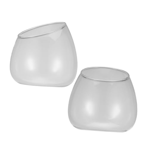 MAGICLULU 2 Stück Klarglas Terrarium Schale Transparente Mikrolandschaftsbehälter für Sukkulenten Dekorative für Zuhause oder Hochzeit MAGICLULU 2 Stück Klarglas Terrarium Schale Transparente Mikrolandschaftsbehälter für Sukkulenten Dekorative für Zuhause oder Hochzeit von MAGICLULU