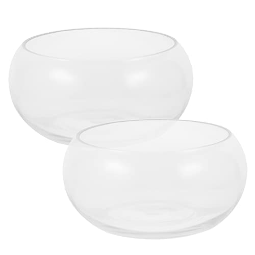 MAGICLULU 2Stücke Hydroponische Pflanzgefäße aus Terrarium für Schildkröten und Fische für Tischdekoration von MAGICLULU
