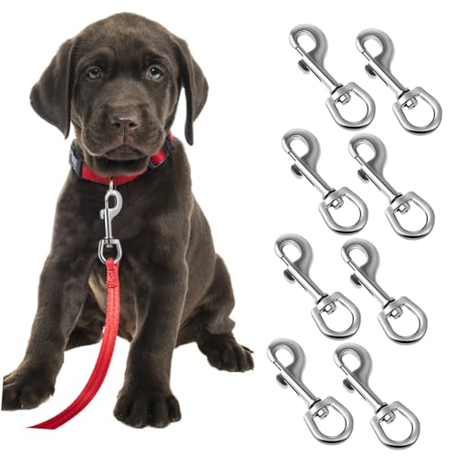 MAGICLULU 8 Stück Teiliges Drehbare Schnapphaken für Hundeleinen aus Rostfreie Clips Sicheres Befestigen Hundehalsbänder Wetterbeständig Langlebig für Außenbereich MAGICLULU 8 Stück Teiliges Drehbare Schnapphaken für Hundeleinen aus Rostfreie Clips Sicheres Befestigen Hundehalsbänder Wetterbeständig Langlebig für Außenbereich von MAGICLULU
