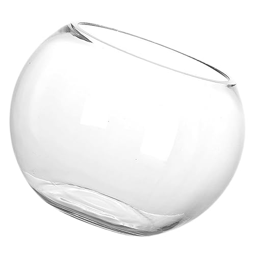 MAGICLULU Fischbecken Aus Glas Vakuum Rund Blumenschale Filter Schüsseln Deckel Geführter Fisch Oval Fischglas Würfel Reiniger Groß Bausatz Riese Uv Gewöhnliches Glas von MAGICLULU
