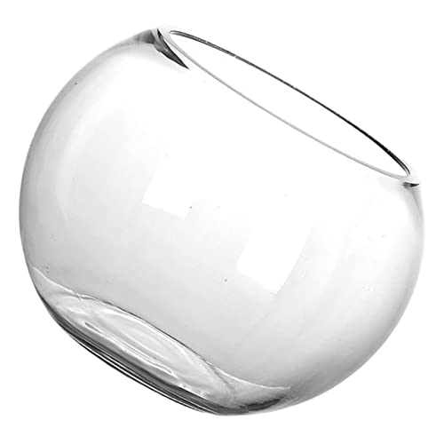 MAGICLULU Fischbecken aus Glas Brotbehälter Essgeschirr Quetschflasche zum Dekorieren von Kuchen Zubehör wohnungseinrichtung wohnungsdeko Fischschalen für Goldfische Fischhalter Transparent von MAGICLULU