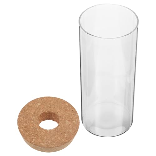 MAGICLULU Hydroponische Pflanzenvase Hydroponische Vase Klare Terrarienbehälter Flaschen Pflanze Mit Kork Mikrolandschaft DIY Flasche Dose Blumentopf Moos Ökologische Flasche von MAGICLULU