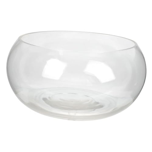 MAGICLULU Hydrokultur-pflanzgefäß Glas Fischglas Rund Tischaquarium Für Heimdekoration von MAGICLULU