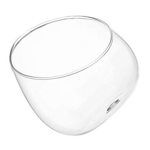 MAGICLULU Klare Glasvase Schräger Schnitt Bubble Bowl Terrarium Glas Pflanzgefäß für Sukkulenten Air Plants Tischdeko Modernes Design Langlebig Transparent von MAGICLULU