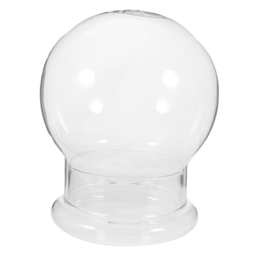 MAGICLULU Landschaftsökologisches Flaschenmoos Flasche mit Mikrolandschaft Kuppel als Tafelaufsatz offic büro assecoires Plant pots pflanztröge esszimmermã¶Bel Landschaft Flasche Glasanzeige von MAGICLULU