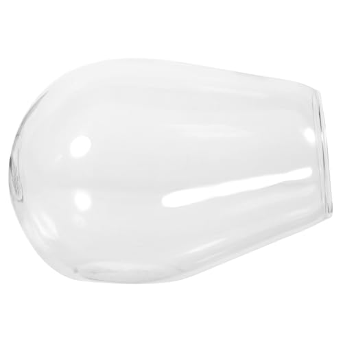 MAGICLULU Micro-landschaftsvase Blume Drinnen Flasche Mikro Sukkulenten Im Terrarium Klein Transparent Mini Terrarien Groß Saftig Bausätze Pflanzen Glas Mit Hohem Borosilikatgehalt von MAGICLULU