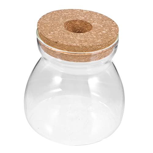 MAGICLULU Ökologische Mikrolandschaftsflasche Pflanzen Terrarium ständer Container Terrarienglas Anlage Mini Sukkulenten zimmerpflanzen Einmachglas Kleiner Fischtank hölzern Transparent von MAGICLULU