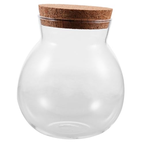 MAGICLULU Terrarium Dekor Trendige Heimdekoration Glaskaraffe Mini Glasgefäße Glaskorkenflaschen Kleine Glasflasche Dekorative Flaschen Dekorieren Wunschflaschenzubehör von MAGICLULU