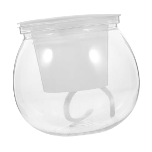 MAGICLULU Transparenter Aquarientank Kunststoff Hydrokultur Pflanzgefäß für Fische und Schildkröten und Pflegeleicht für Kleine Räume oder Einfache und Vielseitige Nutzung von MAGICLULU