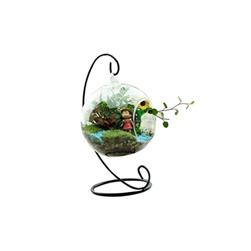 MAGICLULU Wand Terrarium hängende Pflanzen Terrarium einmachgläser Vase Terrarium mit hängenden Pflanzen transparenter hängender pflanzer Luft Blumentopf Kunsthandwerk Container schmücken von MAGICLULU