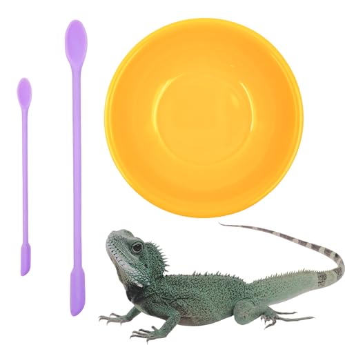 Gecko Accessories-Melamin-Futternapf mit Silikonlöffel, Reptilienschale und Pulver, Obstmischung, Rührlöffel, Fütterlöffel für Schopf-, Leoparden-, Bartagrache Gecko Accessories-Melamin-Futternapf mit Silikonlöffel, Reptilienschale und Pulver, Obstmischung, Rührlöffel, Fütterlöffel für Schopf-, Leoparden-, Bartagrache von MAGNEECH