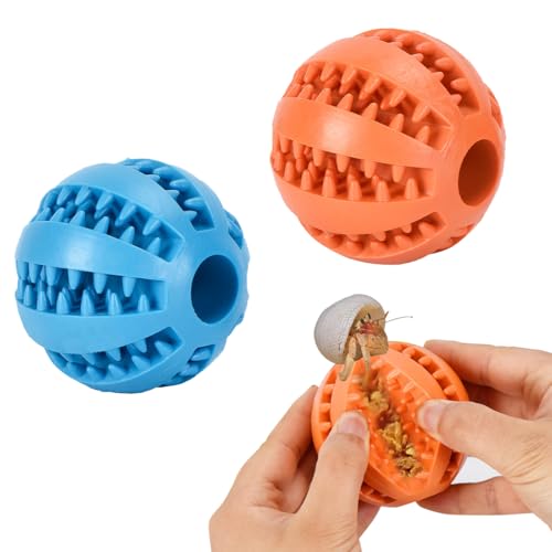 MAGNEECH Einsiedlerkrebs-Spielzeug, Einsiedlerkrebse, Leckerli-Ball, Einsiedlerkrebs-Rad sind perfekte Dekorationen und Zubehör für Aquarien und Aquarien, 2 Stück MAGNEECH Einsiedlerkrebs-Spielzeug, Einsiedlerkrebse, Leckerli-Ball, Einsiedlerkrebs-Rad sind perfekte Dekorationen und Zubehör für Aquarien und Aquarien, 2 Stück von MAGNEECH