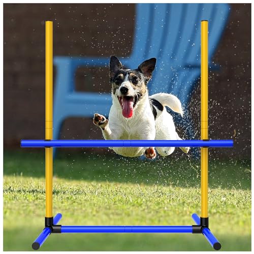 Dog Agility Course Backyard Set 4-teiliges Agility-Trainingsgerät mit Sprungstange, Reifen, Webstangen, Pausenbox & Tasche - Indoor/Outdoor Hund Hindernislauf & Übung Spielset (1) von MAICOBI