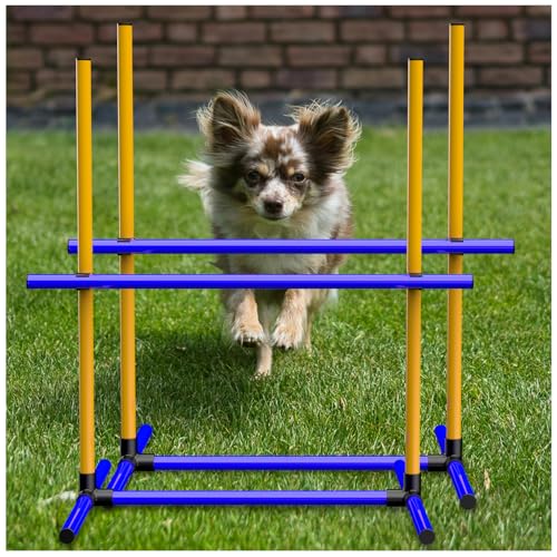 Dog Agility Course Backyard Set 4-teiliges Agility-Trainingsgerät mit Sprungstange, Reifen, Webstangen, Pausenbox & Tasche - Indoor/Outdoor Hund Hindernislauf & Übung Spielset (2) von MAICOBI