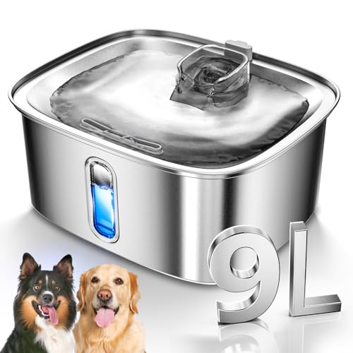 Hunde Wasserbrunnen für Große Hunde, 9L/2.4Gal Edelstahl Hundebrunnen mit Wasserstandsfenster & Filtration, Automatischer Haustier Wassernapfspender Innen, Super Leise für Alle Hunde Und Multi-Pet von MAILOFY