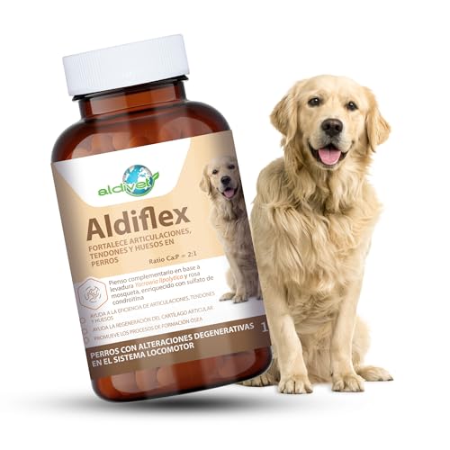 Aldiflex Chondroprotektor für Hunde, Stärkung der Gelenke, Knochen, Sehnen, Regeneration, Knorpel, Gelenkbildung, entzündungshemmend, antioxidativ, Verbesserung der Mobilität, Geschmack, Fleisch, 60 Aldiflex Chondroprotektor für Hunde, Stärkung der Gelenke, Knochen, Sehnen, Regeneration, Knorpel, Gelenkbildung, entzündungshemmend, antioxidativ, Verbesserung der Mobilität, Geschmack, Fleisch, 60 von MAISCOTAZ