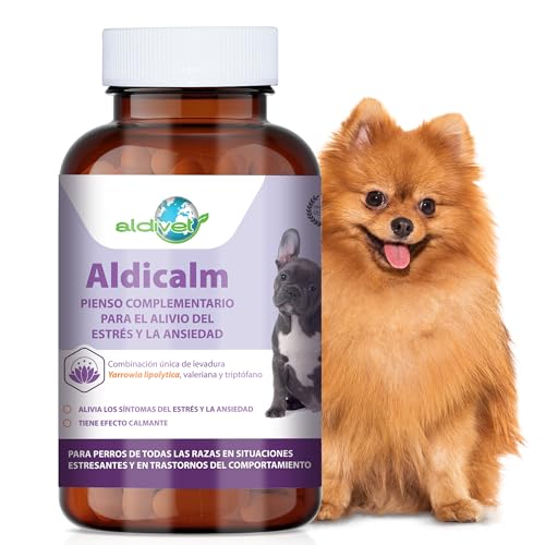 Aldivet Aldicalm Ergänzungsmittel gegen Stress und Angst bei Hunden – für Reisen, Tierarztbesuche – Feuerwerk – natürliches beruhigendes Serotonin – Verhaltensstörungen bei Hunden 100 Kap Aldivet Aldicalm Ergänzungsmittel gegen Stress und Angst bei Hunden – für Reisen, Tierarztbesuche – Feuerwerk – natürliches beruhigendes Serotonin – Verhaltensstörungen bei Hunden 100 Kap von MAISCOTAZ