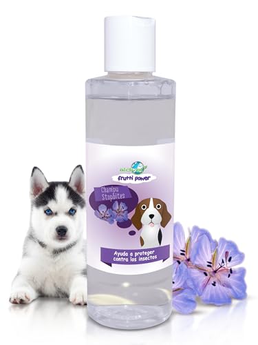 Aldivet Anti-Juck-Shampoo, Insektenschutz, schützt vor Insekten, beschleunigt den Wiederaufbau der Epidermis – pH-neutral – antimikrobielle Eigenschaften – Feuchtigkeit – Stärkung des Fells – 200 ml Aldivet Anti-Juck-Shampoo, Insektenschutz, schützt vor Insekten, beschleunigt den Wiederaufbau der Epidermis – pH-neutral – antimikrobielle Eigenschaften – Feuchtigkeit – Stärkung des Fells – 200 ml von MAISCOTAZ