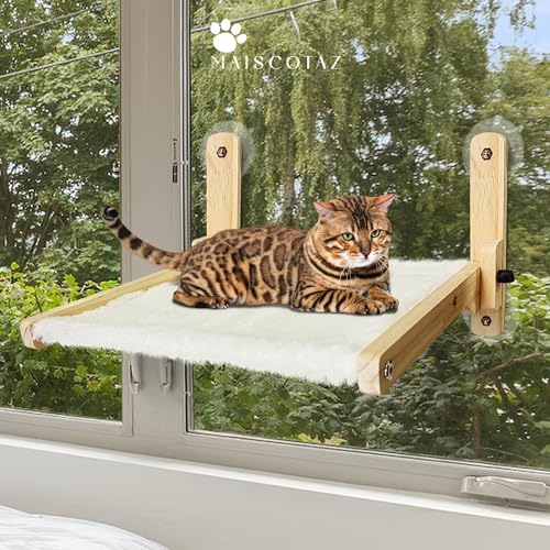 MAISCOTAZ Katzenhängematte mit Fenster – Katzenzubehör, sehr bequem, das beste Fenster für Katzen, 20 kg MAISCOTAZ Katzenhängematte mit Fenster – Katzenzubehör, sehr bequem, das beste Fenster für Katzen, 20 kg von MAISCOTAZ