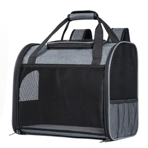 MAIYADUO Katzenrucksack mit Netzfenster - Faltbarer Haustierträger für Katzen & Kleine Hunde (4-8 kg) mit Reißverschluss-Sicherheitsverschluss, Sicherheitsleine, Ideal für Reisen & Spaziergänge von MAIYADUO