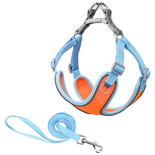 MAKASI Dog Harness No Pull with Leash Set, Reflective Pet Harness with Breathable Mesh Easy Control Front Clip for Small Medium Large Dogs (Large, Orange) von MAKASI