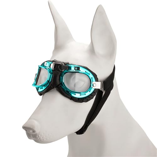 MALSSE Augenschutzbrille für Haustiere, Sonnenschutz, Sonnenbrille, Rollenspielbrille für Outdoor-Spaß MALSSE Augenschutzbrille für Haustiere, Sonnenschutz, Sonnenbrille, Rollenspielbrille für Outdoor-Spaß von MALSSE