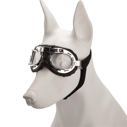 MALSSE Augenschutzbrille für Haustiere, Sonnenschutz, Sonnenbrille, Rollenspielbrille für Outdoor-Spaß von MALSSE