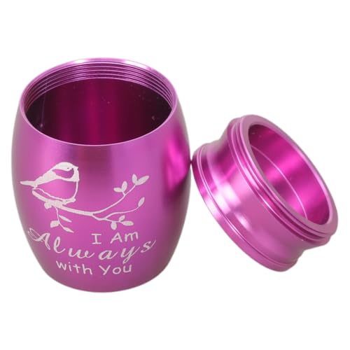 MALSSE Gedenk-Schatulle, Asche, Behälter, Urne, Einäscherungsgeschenk für Asche/Haar, elegante Urne für Damen und Herren, Gedenkurne für Asche von MALSSE