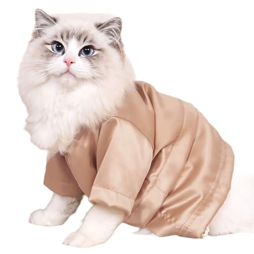 MALSSE Katzenbekleidung, seidiges Gefühl, für drinnen und draußen, Kleidung, Sweatshirt, Outfit, Bekleidung, Spazierengehen, Camping MALSSE Katzenbekleidung, seidiges Gefühl, für drinnen und draußen, Kleidung, Sweatshirt, Outfit, Bekleidung, Spazierengehen, Camping von MALSSE