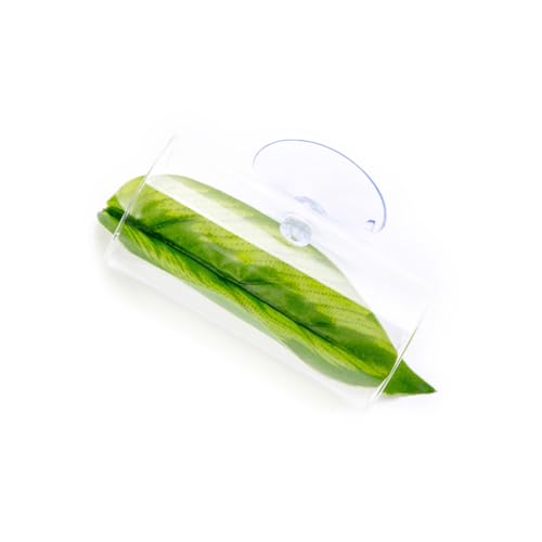 MALSSE Künstliche Wasserpflanze für Aquarien, Terrarium, Aquarium, Ornamente, Dekoration, Pflanze zum Dekorieren von Aquarien, Garnelen, Lebensraum MALSSE Künstliche Wasserpflanze für Aquarien, Terrarium, Aquarium, Ornamente, Dekoration, Pflanze zum Dekorieren von Aquarien, Garnelen, Lebensraum von MALSSE