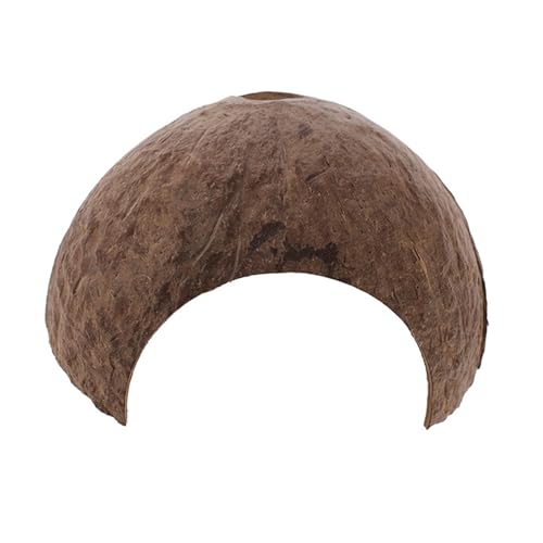 Zwerghamster-Versteck, natürliche Kokosnüsse, Kletterleiter für kleine Hamster, sicheres Kauspielzeug für Kleintiere, Haustier-Versteck, Haus von MALSSE