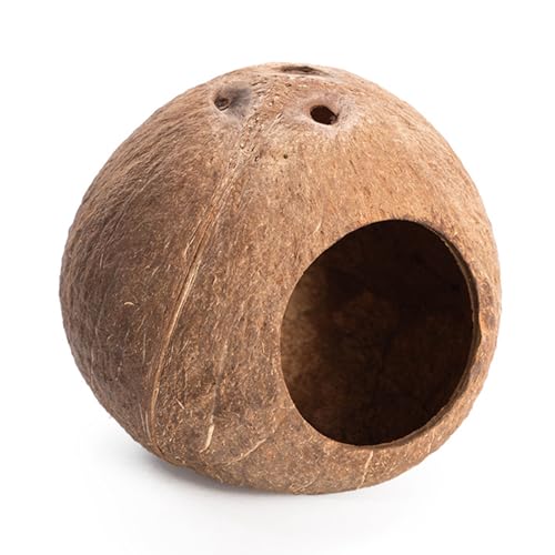 Zwerghamster-Versteck, natürliche Kokosnüsse, Kletterleiter für kleine Hamster, sicheres Kauspielzeug für Kleintiere, Haustier-Versteck, Haus von MALSSE