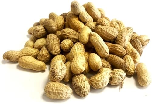 Erdnüsse in Muscheln 750 g Premium sicheres Wildvogelfutter Affennüsse Afflotoxinfrei MCW Erdnüsse in Muscheln 750 g Premium sicheres Wildvogelfutter Affennüsse Afflotoxinfrei MCW von MALTBYS' STORES 1904 LTD