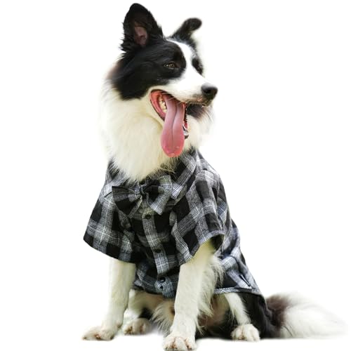 Haustier-Shirt, Kleidung für Hunde und Katzen, Welpen, kariert, Baumwolle, Polo-Shirts, bezaubernd, leger, Haustierbekleidung, Schwarz und Weiß, Größe XXS Haustier-Shirt, Kleidung für Hunde und Katzen, Welpen, kariert, Baumwolle, Polo-Shirts, bezaubernd, leger, Haustierbekleidung, Schwarz und Weiß, Größe XXS von MAMORE