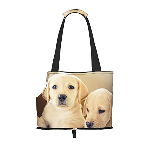 Hundetragetasche, niedlich, bedruckt, leicht, vielseitig, tragbar, weich, Tier, bequeme Taschen für kleine Haustiere von MANLUU