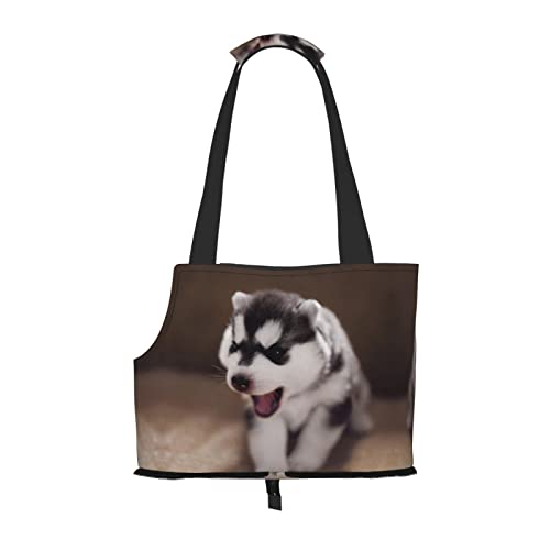 Hundetragetasche, niedliches Design, bedruckt, leicht, vielseitig einsetzbar, tragbar, weich, Tier, bequeme Taschen für kleine Haustiere von MANLUU
