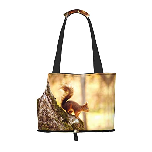 Hundetragetasche mit lustigem Eichhörnchen-Druck, leicht, vielseitig, tragbar, weich, Tier, bequeme Taschen für kleine Haustiere von MANLUU