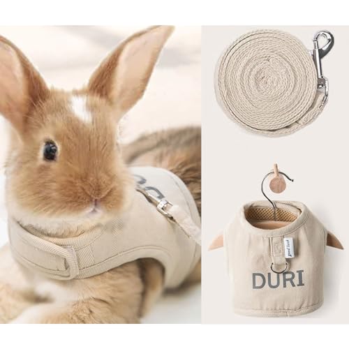 MANON ROSA Kaninchengeschirr-Set, ausbruchsicher, Gehausrüstung, verstellbar, reflektierend, Buchstabendruck, Haustierweste für Kaninchen, Hunde, Kätzchen, Katzen, Frettchen, Kleintiere, Größe M, von MANON ROSA
