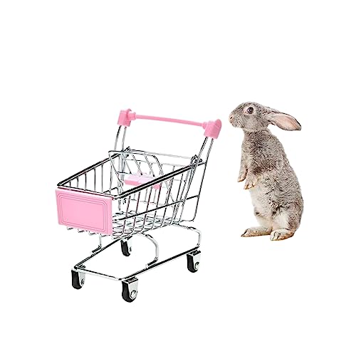 MANON ROSA Kaninchenspielzeug Bunny Mini Einkaufswagen Kleintier Supermarkt Bollerwagen Igel Papagei Vogel Katzen Mäuse Niederländische Schweine Hamster Meerschweinchen Eidechse Chinchilla von MANON ROSA